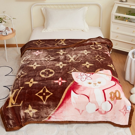 （总）2024新款 爆款 毛毛毯毯子 保暖毛毯毯子 拉舍尔  双层学生云毛毯毯子