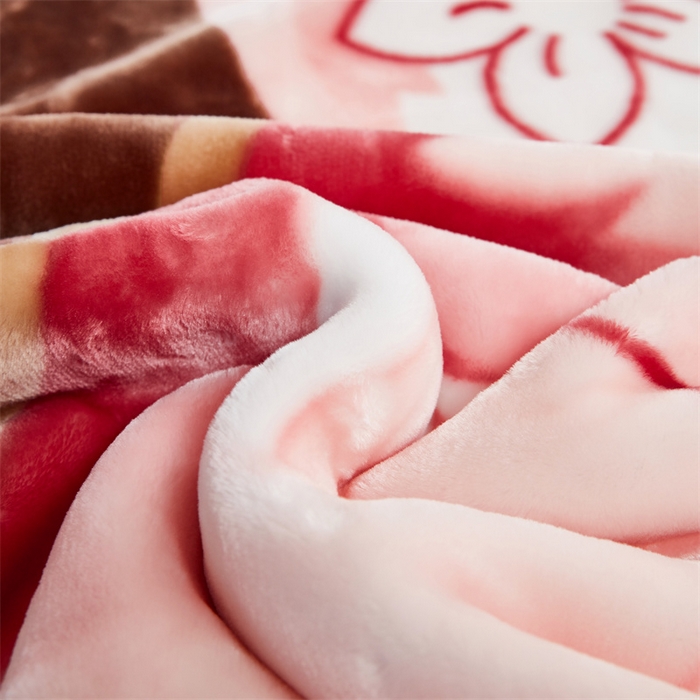 91家纺网 家纺一手货源 找家纺 凯轩毛毛毯毯子网销专供 2024新款双层学生云毛毯毯子 啊Q