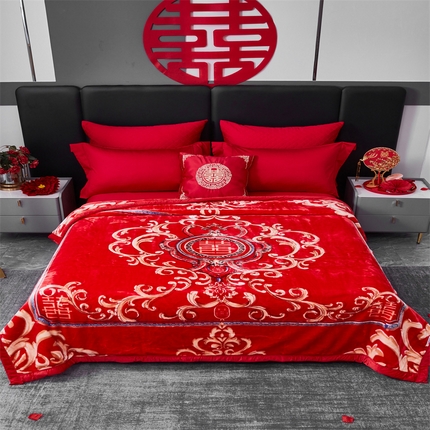 91家纺网 家纺一手货源 找家纺 （总）2024新款A类双层云毛毯毯子 拉舍尔毛毛毯毯子 保暖毛毯毯子子 网销专供 