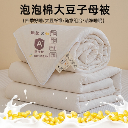 （总）天瑜家纺 2024新款A类泡泡棉子母被冬被春秋被