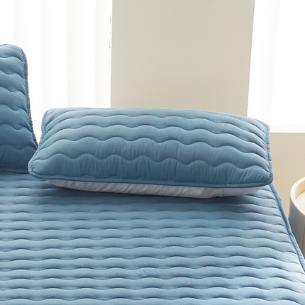 2024新款原棉夹棉枕套-四季款 高贵蓝