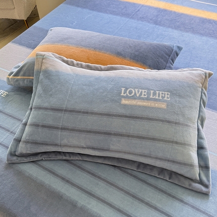 91家纺网 家纺一手货源 找家纺 （总）518家纺 2025新款A类款臻棉绒单品枕套