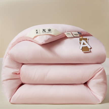 91家纺网 家纺一手货源 找家纺 （总）利欧 2025新款A类无染大豆被冬被家用被子被芯