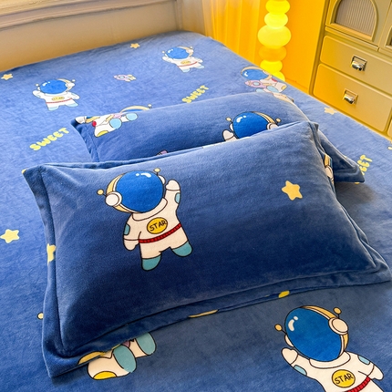 91家纺网 家纺一手货源 找家纺 （总）518家纺 2025新款A类款臻棉绒单品枕套