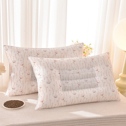 （总）圣楚家纺 2024新款云朵决明子枕枕头枕芯