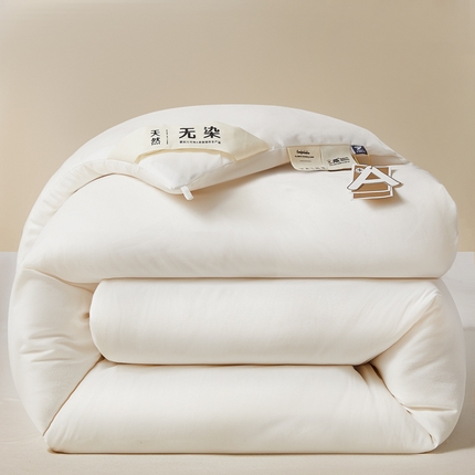 91家纺网 家纺一手货源 找家纺 （总）利欧 2025新款A类无染大豆被冬被家用被子被芯