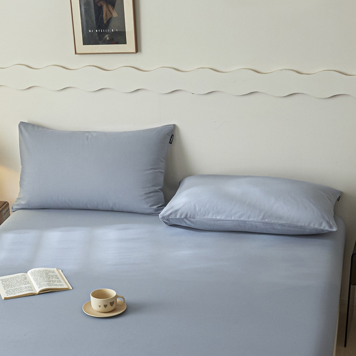 91家纺网 家纺一手货源 找家纺 涵宸家纺 2024新款全棉磨毛四件套纯厚系列-单枕套 a星耀兰