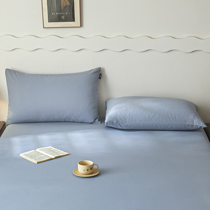 91家纺网 家纺一手货源 找家纺 涵宸家纺 2024新款全棉磨毛四件套纯厚系列-单枕套 a星耀兰