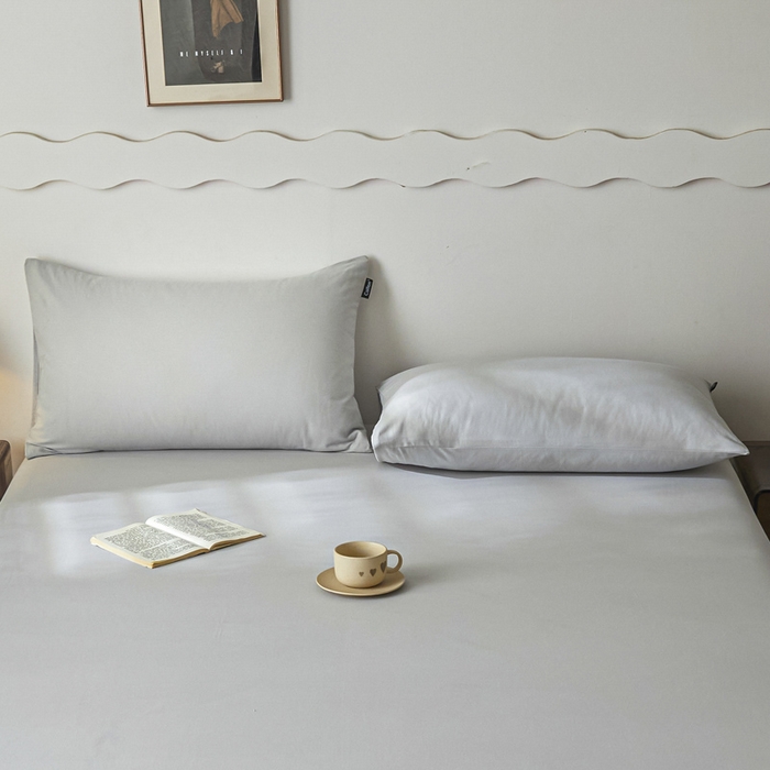 91家纺网 家纺一手货源 找家纺 涵宸家纺 2024新款全棉磨毛四件套纯厚系列-单枕套 a兰灰