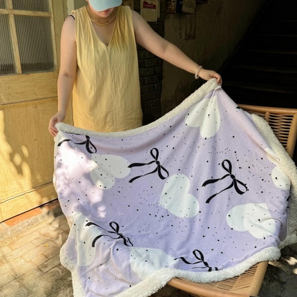 91家纺网 家纺一手货源 找家纺 （总）六巷胡同 2024新款INS卡通羊羔绒毛毯（外拍组）