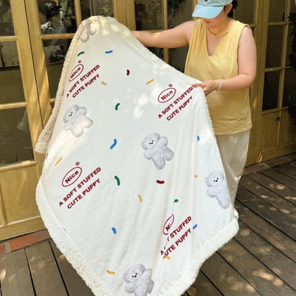 91家纺网 家纺一手货源 找家纺 （总）六巷胡同 2024新款INS卡通羊羔绒毛毯（外拍组）