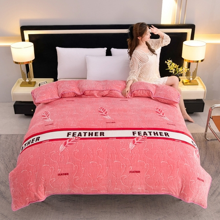 慕婷家纺 2024新款牛奶绒印花床裙系列-单被套梦羽