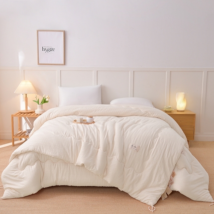 91家纺网 家纺一手货源 找家纺 （总）预言家纺 2024新款良品压花冬被子母被