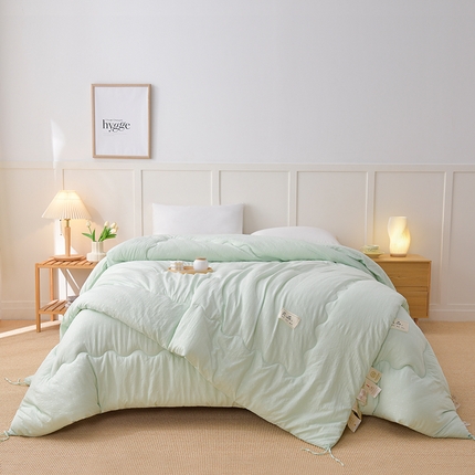 91家纺网 家纺一手货源 找家纺 预言家纺 2024新款良品压花冬被子母被 良品绿