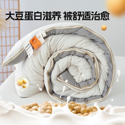 91家纺网 家纺一手货源 找家纺 （总）美丽折家纺 2025母婴级A类原棉提花双拼大豆被拉链款二合一四季款子母被春秋被冬被