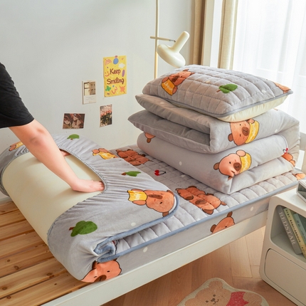 91家纺网 家纺一手货源 找家纺 （总）爱思凯家纺 2025新款【学生】初心-牛奶绒小号床笠三件套