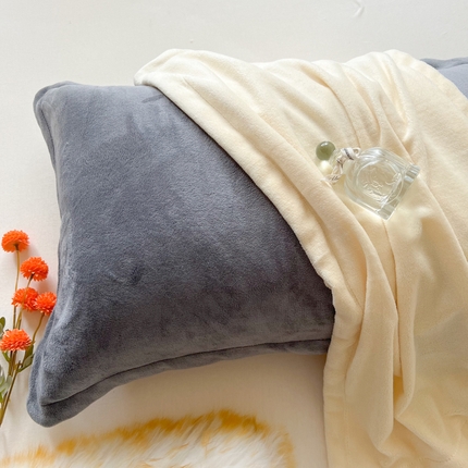 91家纺网 家纺一手货源 找家纺 （总）百寐 2024新款纯色牛奶绒抗静电加厚保暖信封加大枕套单品
