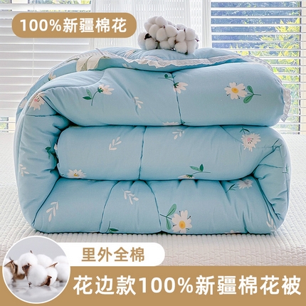 芯恋家居 2025新款里外纯棉韩版花边棉花被芯（新疆棉）冬被春秋被棉花被被子  舒雅风情