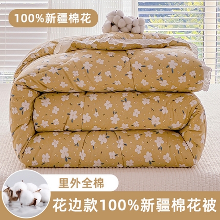 芯恋家居 2025新款里外纯棉韩版花边棉花被芯（新疆棉）冬被春秋被棉花被被子  花语嫣然