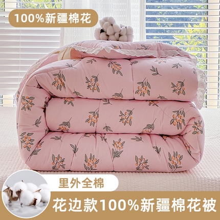 芯恋家居 2025新款里外纯棉韩版花边棉花被芯（新疆棉）冬被春秋被棉花被被子  手绘烂漫