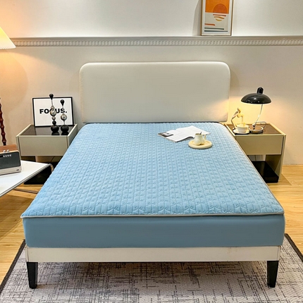 LADYCOCO可可家居 2024新款超柔牛奶绒夹棉保暖床笠 蓝色