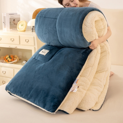 91家纺网 家纺一手货源 找家纺 （总）好梦来家纺（原锦茂家纺） 2025新款纯色款A类雪花绒冬被羊羔绒冬被被芯法莱绒被子牛奶绒被子