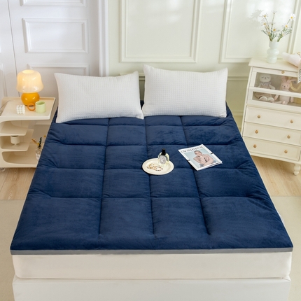 LADYCOCO可可家居 2024新款亲肤舒适德绒床垫床褥-超暖系列 蓝色