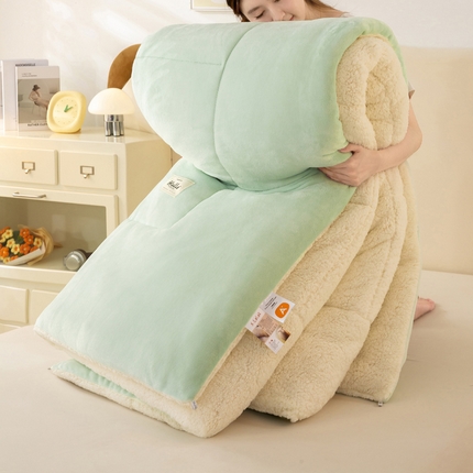 91家纺网 家纺一手货源 找家纺 （总）好梦来家纺（原锦茂家纺） 2025新款印花款A类雪花绒冬被羊羔绒冬被被芯冬季牛奶绒冬被