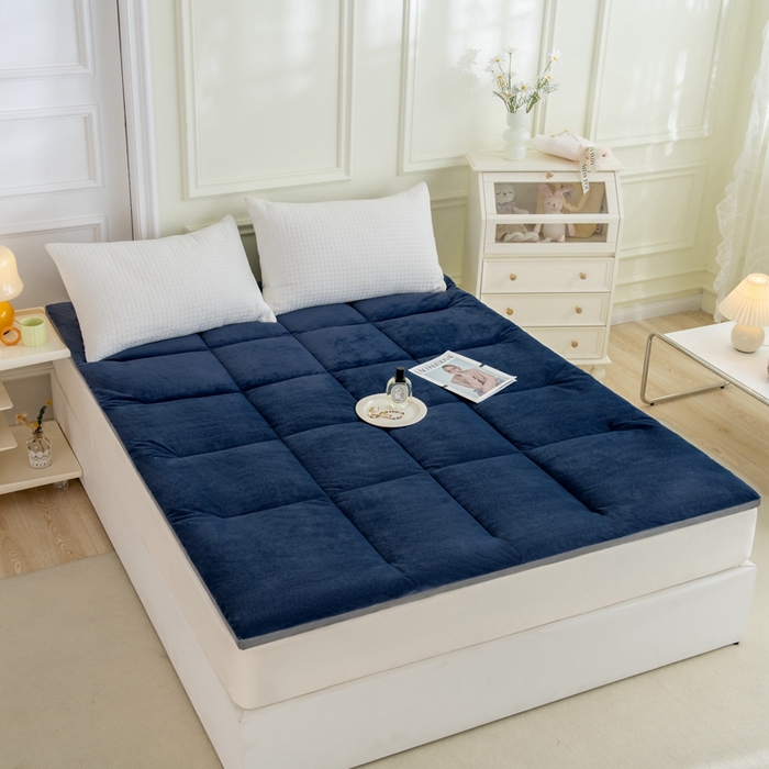 91家纺网 家纺一手货源 找家纺 LADYCOCO可可家居 2024新款亲肤舒适德绒床垫床褥-超暖系列 蓝色