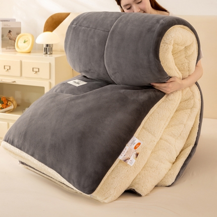 91家纺网 家纺一手货源 找家纺 （总）好梦来家纺（原锦茂家纺） 2025新款纯色款A类雪花绒冬被羊羔绒冬被被芯法莱绒被子牛奶绒被子