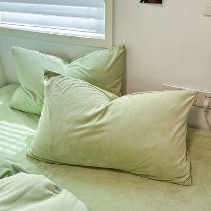 盛馨家纺 2024新款高克重加厚保暖纯色宝宝绒系列单枕套 浅草绿