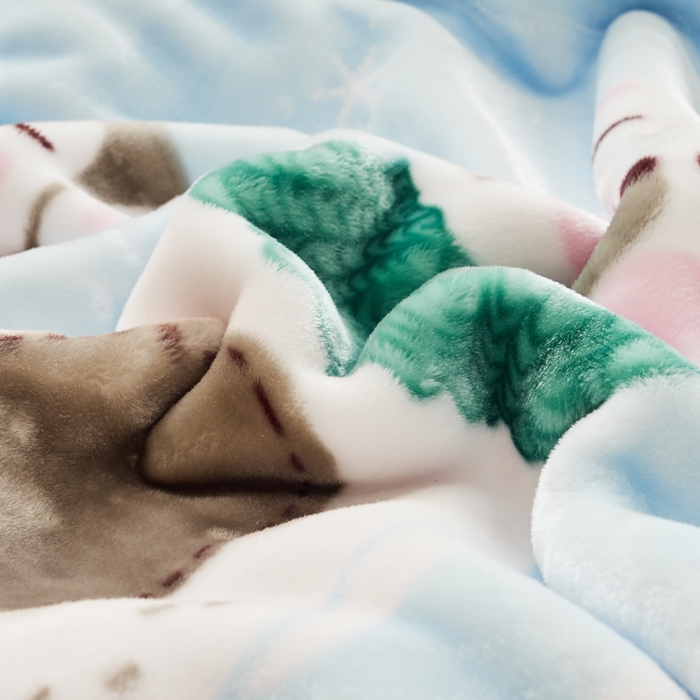 91家纺网 家纺一手货源 找家纺 凯轩毛毛毯毯子网销专供 2024新款舒适亲肤加大加厚儿童云毛毯毯子 好伙伴