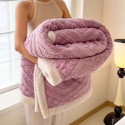 91家纺网 家纺一手货源 找家纺 （总）希廷顿 2024新款高克重双层加厚塔芙绒毛毯