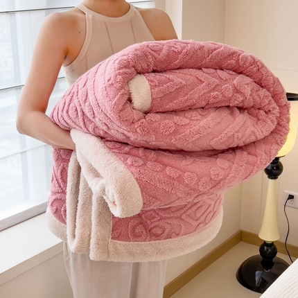 91家纺网 家纺一手货源 找家纺 （总）希廷顿 2024新款高克重双层加厚塔芙绒毛毯