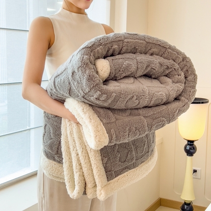 91家纺网 家纺一手货源 找家纺 （总）希廷顿 2024新款高克重双层加厚塔芙绒毛毯