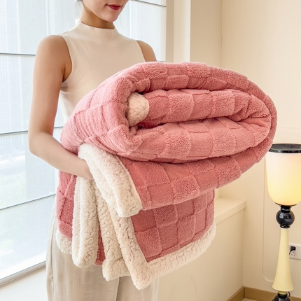 91家纺网 家纺一手货源 找家纺 （总）希廷顿 2024新款高克重双层加厚塔芙绒毛毯