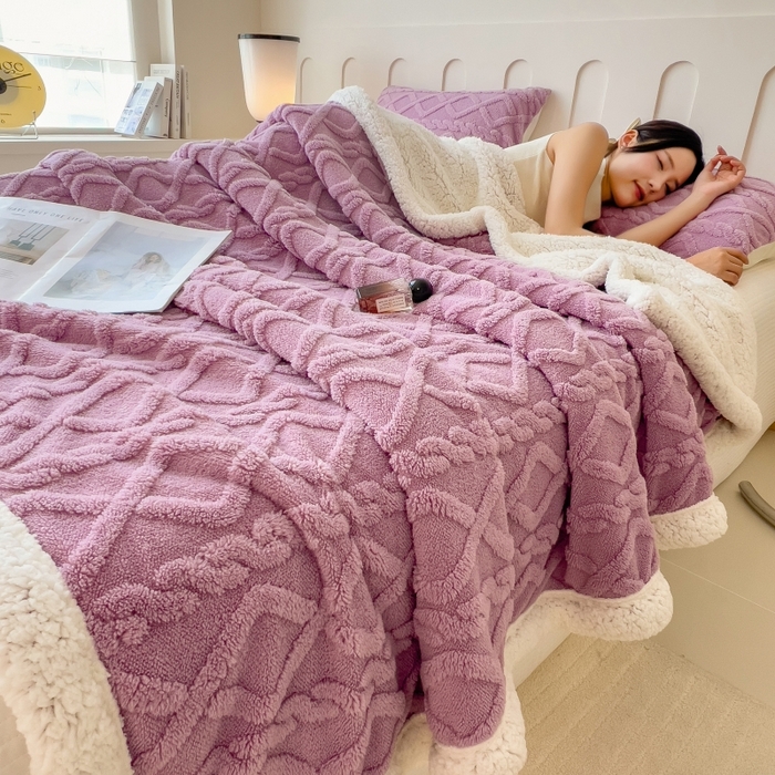 91家纺网 家纺一手货源 找家纺 希廷顿 2024新款高克重双层加厚塔芙绒毛毯 麻花-香芋紫