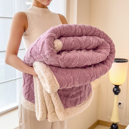 91家纺网 家纺一手货源 找家纺 （总）希廷顿 2024新款高克重双层加厚塔芙绒毛毯