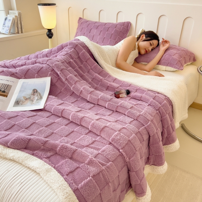 91家纺网 家纺一手货源 找家纺 希廷顿 2024新款高克重双层加厚塔芙绒毛毯 方格-香芋紫