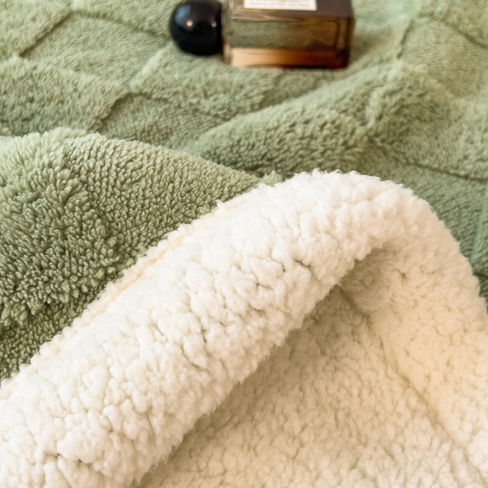 91家纺网 家纺一手货源 找家纺 希廷顿 2024新款高克重双层加厚塔芙绒毛毯 方格-抹茶绿