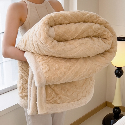91家纺网 家纺一手货源 找家纺 （总）希廷顿 2024新款高克重双层加厚塔芙绒毛毯