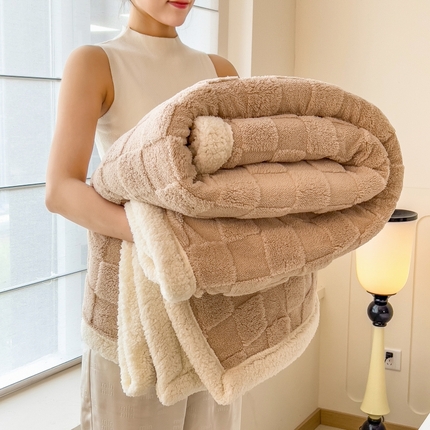 91家纺网 家纺一手货源 找家纺 （总）希廷顿 2024新款高克重双层加厚塔芙绒毛毯