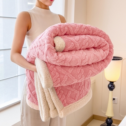 91家纺网 家纺一手货源 找家纺 （总）希廷顿 2024新款高克重双层加厚塔芙绒毛毯