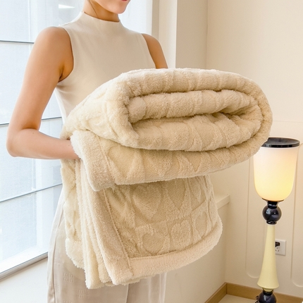 91家纺网 家纺一手货源 找家纺 （总）希廷顿 2024新款高克重双层加厚塔芙绒毛毯