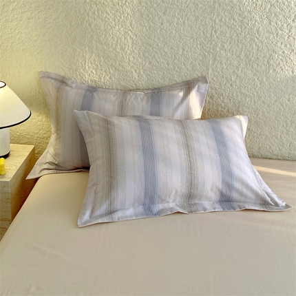 91家纺网 家纺一手货源 找家纺 （总）2024新款AB版.生态磨毛印花单枕套