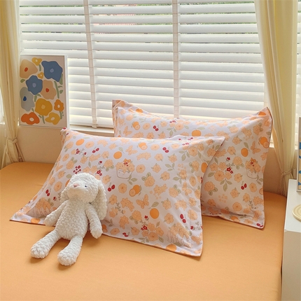 91家纺网 家纺一手货源 找家纺 （总）2024新款AB版.生态磨毛印花单枕套