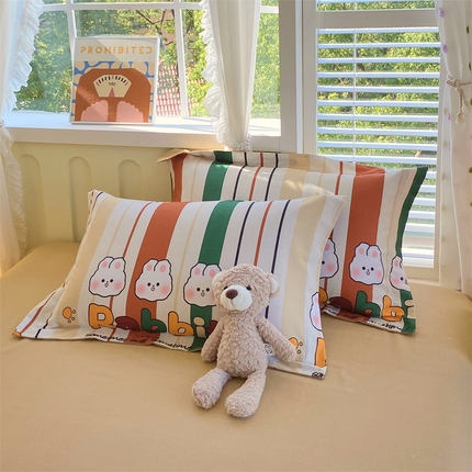 91家纺网 家纺一手货源 找家纺 （总）2024新款AB版.生态磨毛印花单枕套