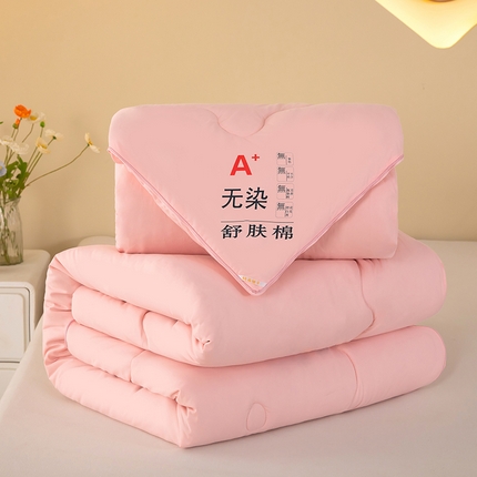 梓依家纺 2024新款亲肤磨毛子母被子被芯 玉色