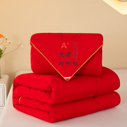 梓依家纺 2024新款亲肤磨毛子母被子被芯 红色