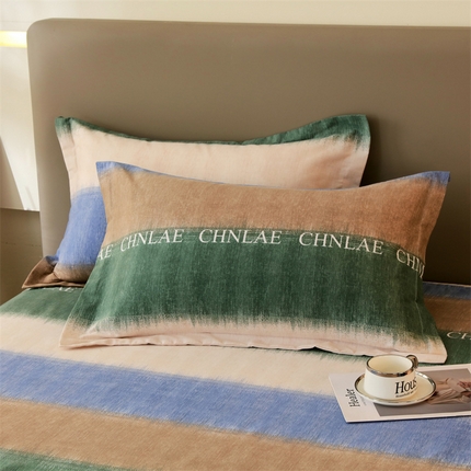 91家纺网 家纺一手货源 找家纺 （总）2024新款.亲肤舒适加厚磨毛印花系列单枕套